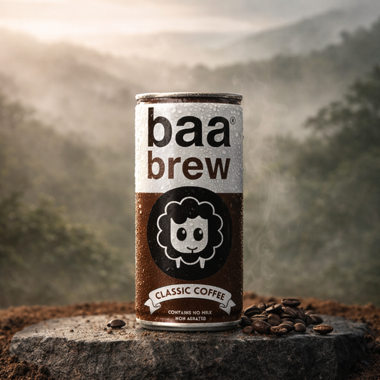 Classic Coffee Energy Drink | Pack of 6